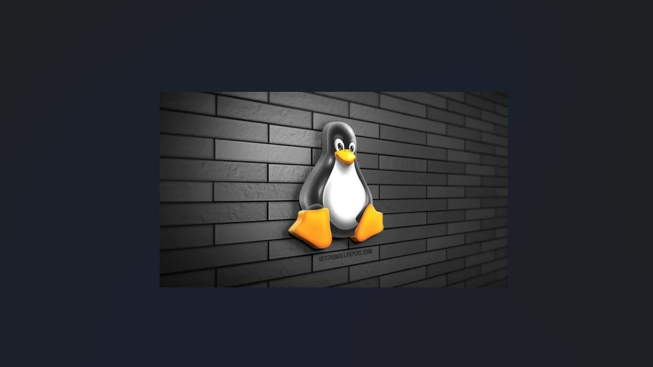 Imagen de Linux